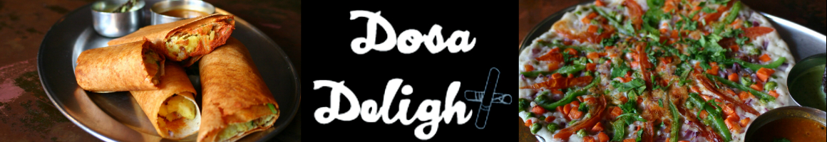 Eating Indian Kosher Vegetarian at Dosa Delight restaurant in Queens, NY.